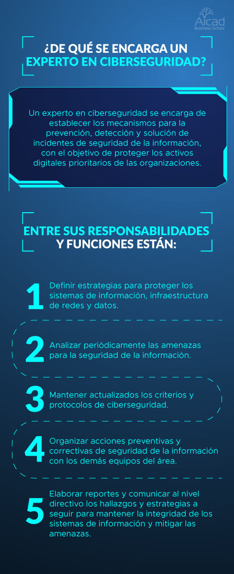 experto en ciberseguridad