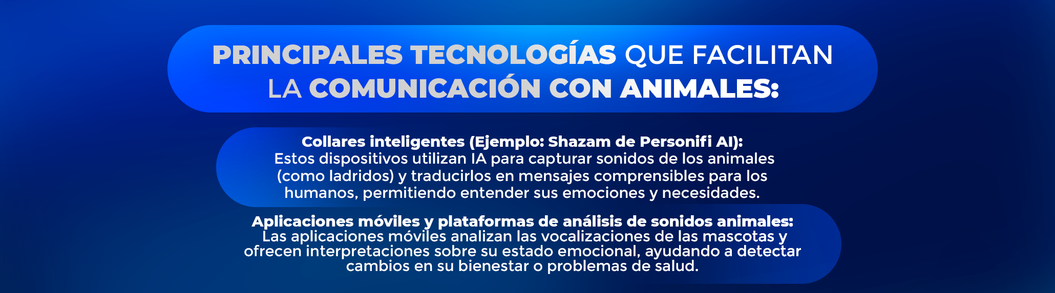 ¿Podrás hablar con tu perro en 2025? La IA dice que sí.