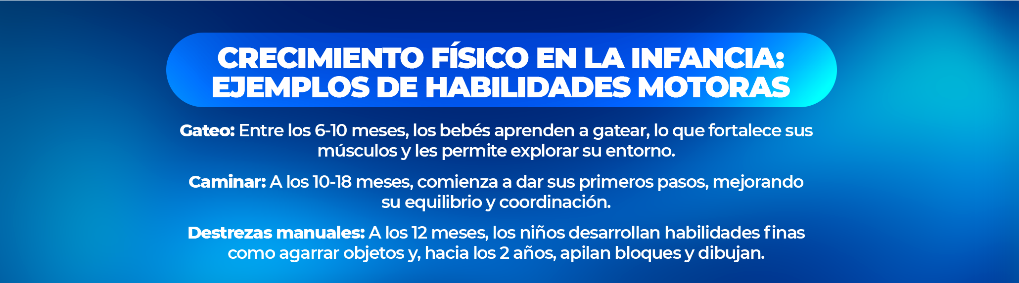 Las etapas del desarrollo humano.