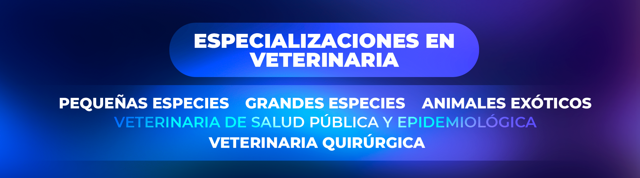 Veterinario