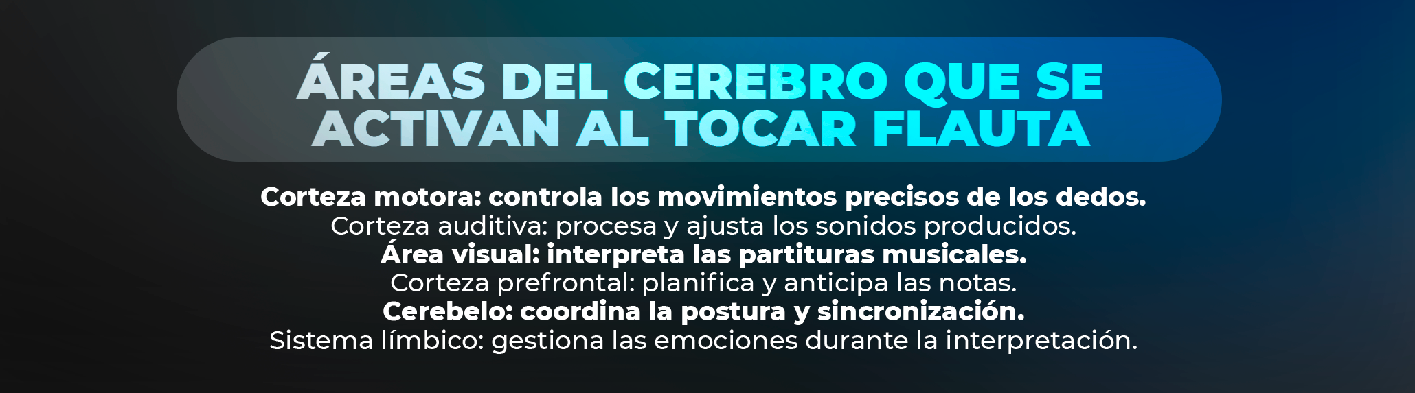 Notas en una flauta