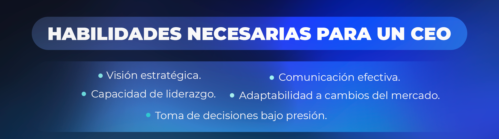 Qué significa CEO