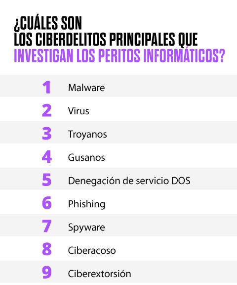 perito judicial inform&aacute;tico