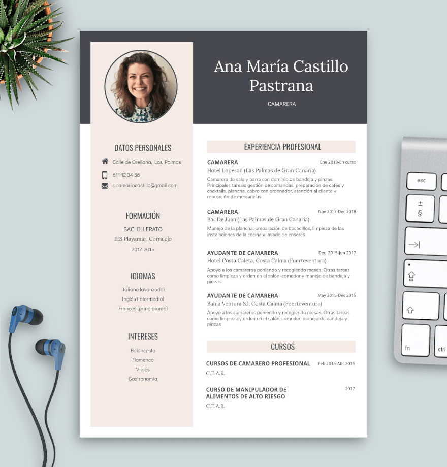 formato de curriculum vitae 2.0