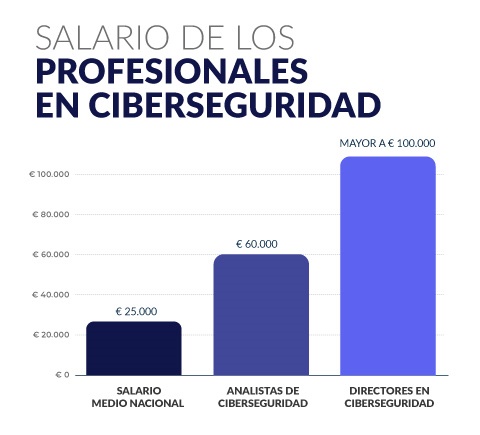Profesional en ciberseguridad